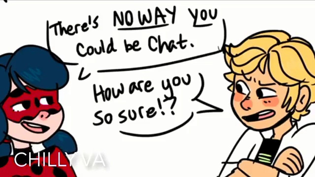 CHAT NOIR REVEALS HIS IDENTITY! 【Miraculous Ladybug Comic Dub Compi