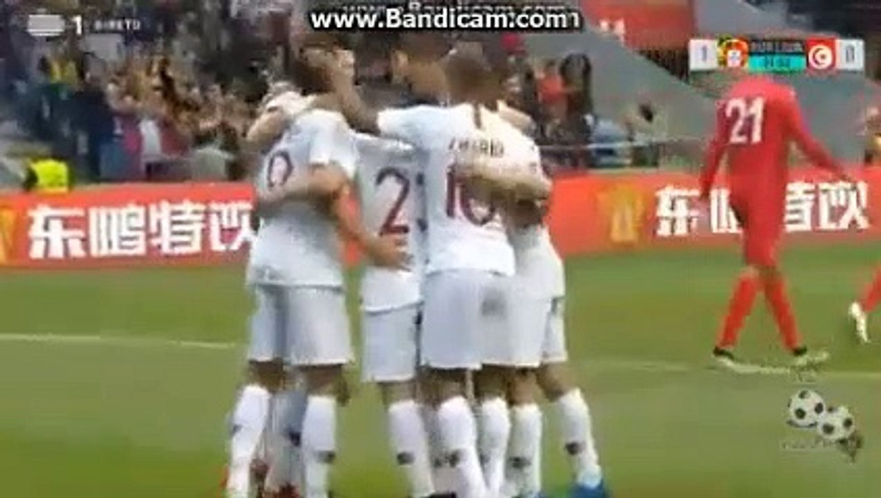 All Amazing Goals (2-2) Portugal vs Tunisia