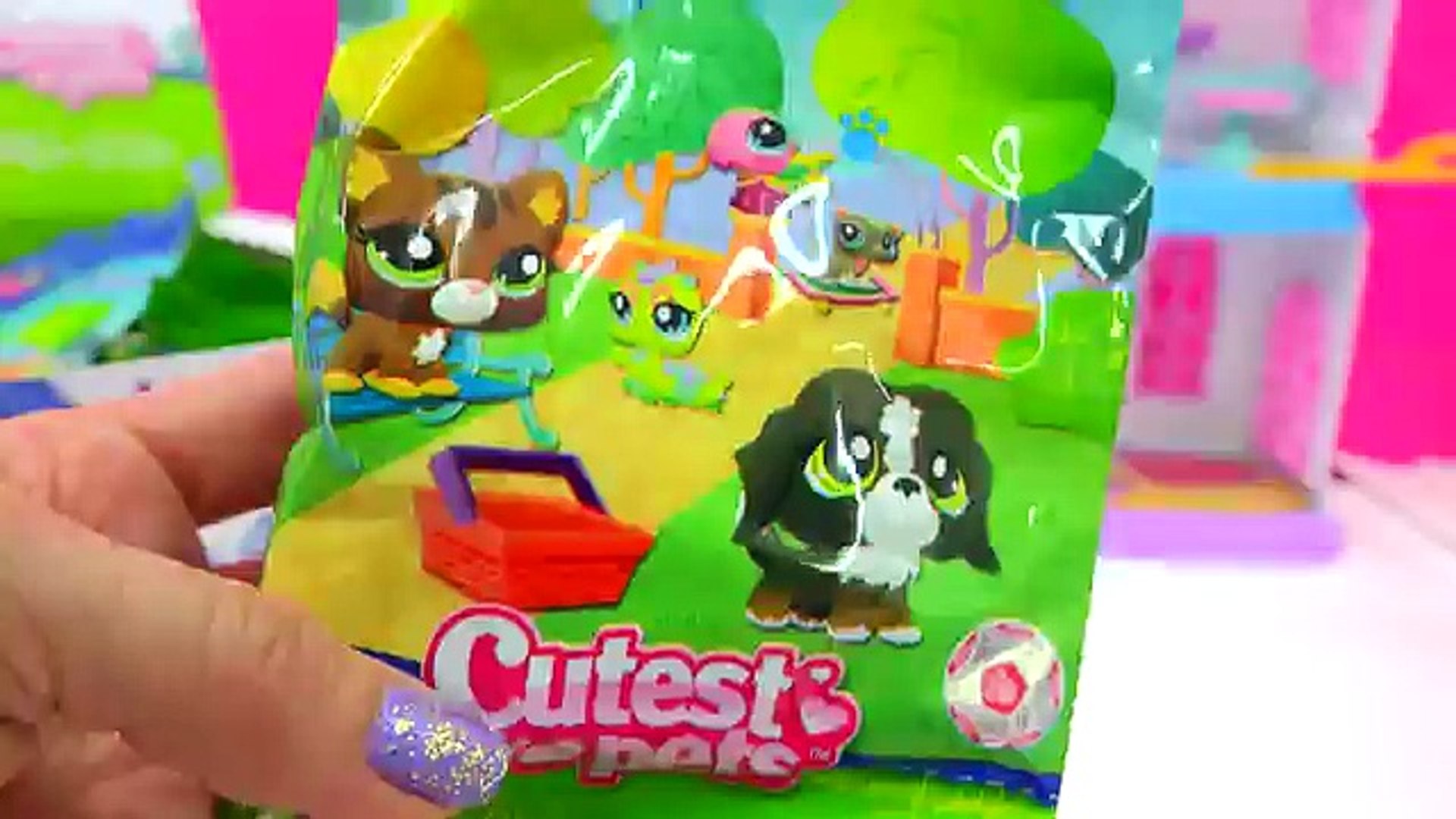 Mega Littlest Pet Shop Collection Tour All Cats Dogs Fairy More Animals LPS  Toys Videos Cookieswirlc 