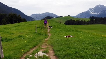 En promenade aux Glières le 2605 suite