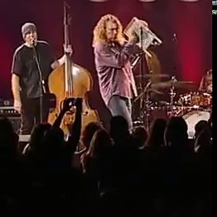 warsh board bobbie plant 1 mp4 sound gif untitled