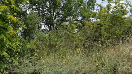 Kastamonu’da 8 kaçak define avcısı suçüstü yakalandı