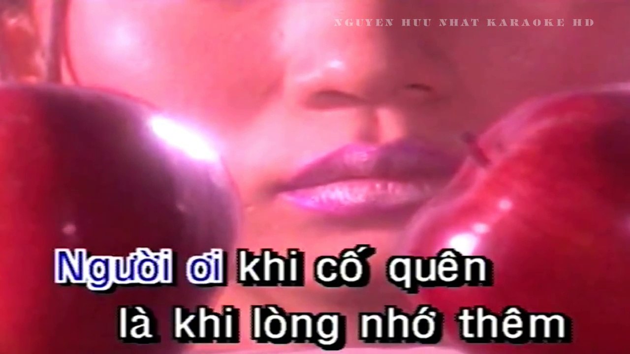 Karaoke Sầu Lẻ Bóng Trường Vũ Beat Chuẩn