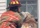 Maine Firefighter Gets Puppy Love During Dog Rescue