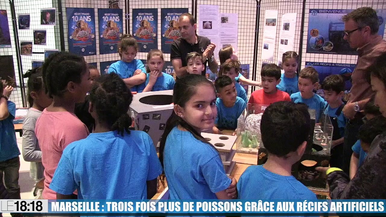 Le 18:18 - Marseille : le pari des récifs artificiels est gagné! Les poissons sont de retour
