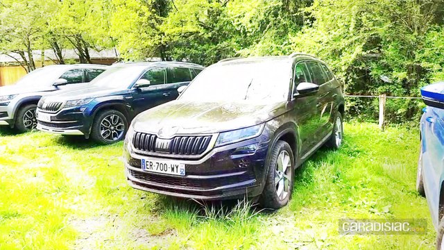 Skoda Kodiaq : pas qu’un SUV, la preuve par 4x4