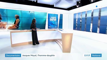 Jacques Mayol : l’homme-dauphin