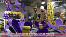 HPyTv Tarbes | La 95e Cavalcade d'Aureilhan se prépare (28 mai 18)