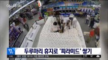 [별별영상] 두루마리 휴지로 '피라미드' 쌓기