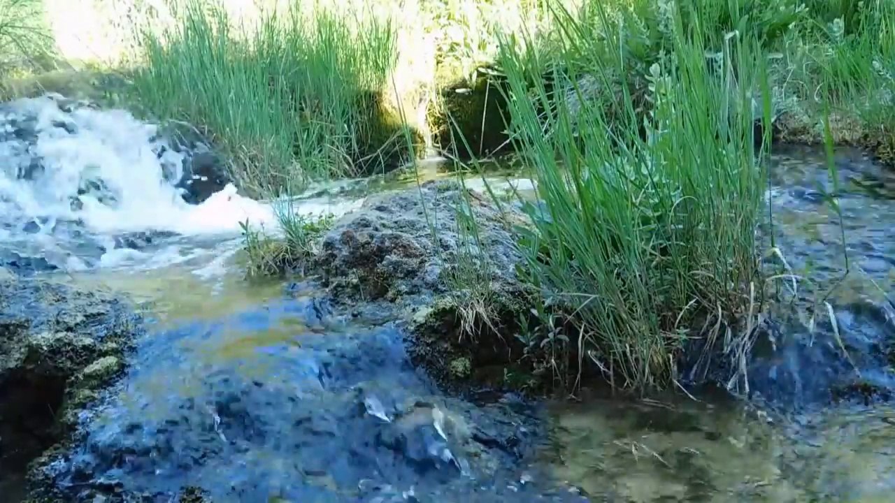 El sonido del agua y el canto del ruiseñor