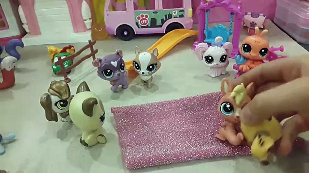 Minişler Sokakta Kamp Macerası//Littlest Pet Shop//Minişler Alemi tv// Miniş videoları
