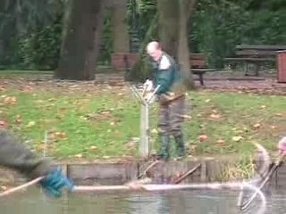 Nettoyage de l'étang de Wambrechies