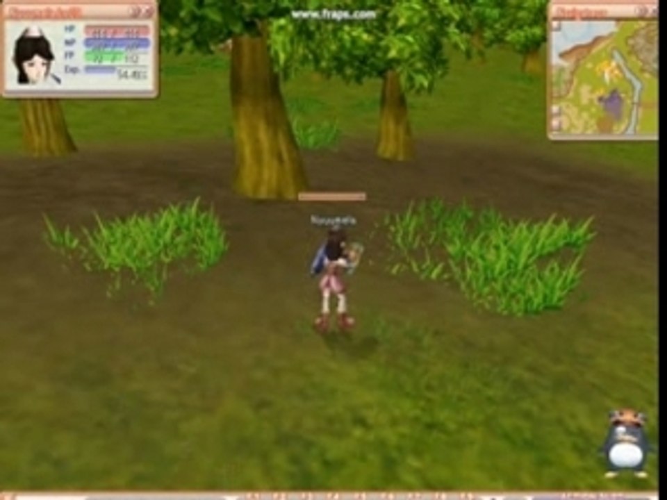 Flyff-acolyte au combat