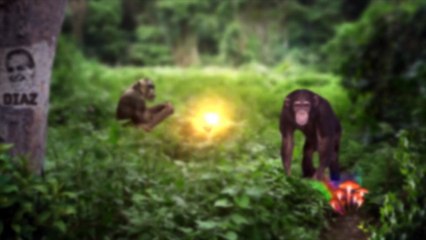 Best of the Week - May 13, 2018 - Joe Rogan Experience