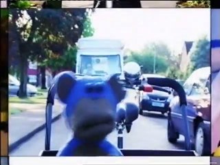 Bear Behaving Badly 1x09 Treasure Hunt