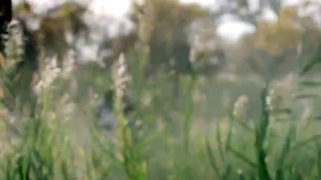 MÃNG HOANG KỶ Tập 26 Thuyết Minh - Phim Trung Quốc - Lưu Khải Uy, Trần Diệc Phi, Vương Âu -Phim Cổ Trang, Phim Thần Thoại, Phim Võ Thuật
