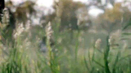 MÃNG HOANG KỶ Tập 26 Thuyết Minh - Phim Trung Quốc - Lưu Khải Uy, Trần Diệc Phi, Vương Âu -Phim Cổ Trang, Phim Thần Thoại, Phim Võ Thuật