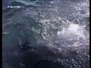 Pub Davidoff - cool water