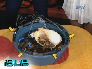 iBilib: DIY indoor fountain