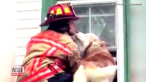 Dog Gives Thank You Kiss to Firefighter Who Saved Him From Roof
