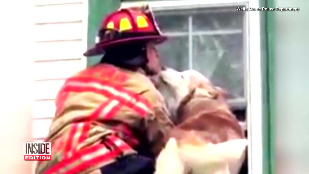 Dog Gives Thank You Kiss to Firefighter Who Saved Him From Roof