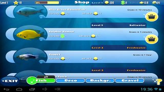 Fish Farm 2 - Android and iOS gameplay GamePlayTV