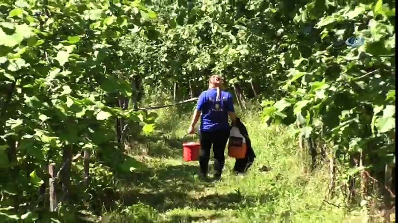 Ordu’da Örnek Hizmet