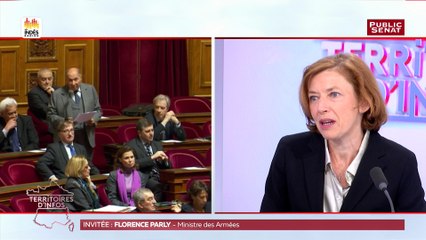 Best of Territoires d'Infos - Invitée politique : Florence Parly (29/05/18) (Public Sénat)