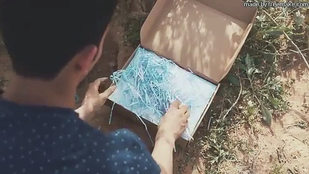 الحلم تحقق