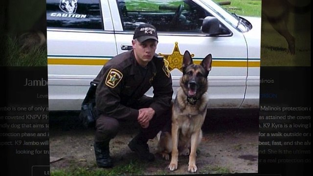 Looking for Belgian Malinois For Sale in Texas? See Scott’s K9