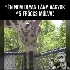 Van benne valami...Dicsértessék!