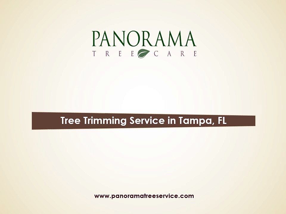 Tree Trimming Service Based in Tampa, FL - Panorama Tree Services