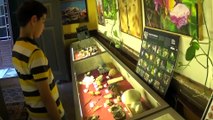 Köpek balığı yumurtası ve meteor taşı bu müzede - BALIKESİR