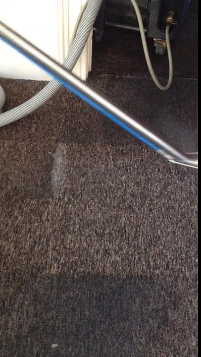 Carpet Cleaning Dublin