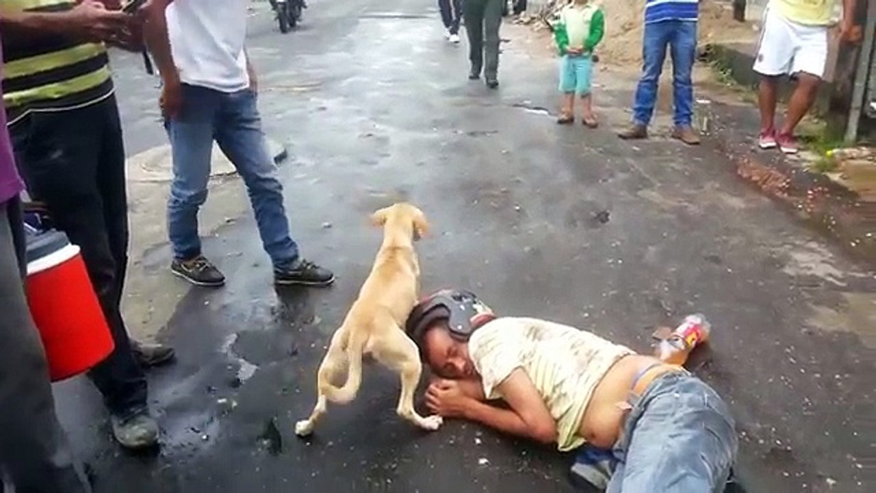 Un homme ivre et endormi protégé par son chien