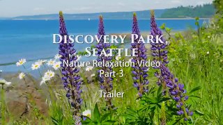 Nature relaxation footage with soothing sounds and views of Water & Waves - TRAILER 27