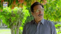 Rasm-e-Duniya - Episode 17   18 - 25th May 2017 - ARY Digital Drama