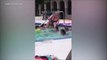 Cette femme se rase les jambes dans la piscine d'un Motel... Horrible