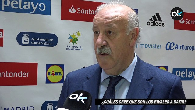 Vicente del Bosque para OkDiario