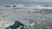 Antarctic sanctuary: The Weddell Sea quest | Earthrise