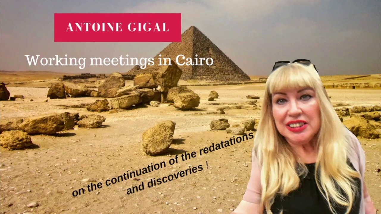 Working meetings in Cairo