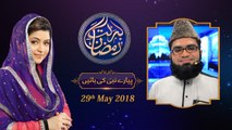 Piyare Nabi Ki Batain | 13th Roza | Barkat e Ramzan