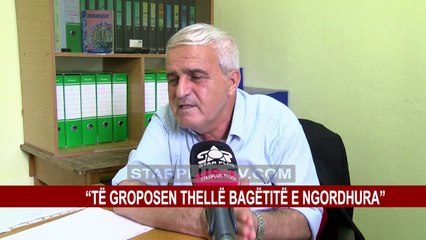 SHKODËR, ASNJË RAST I SËMUNDJES SË ANTRANKSIT