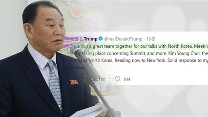 트럼프 "김영철 지금 뉴욕으로 향하고 있다"...북미 고위급 회담 확인 / YTN
