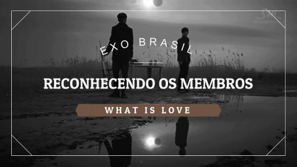Conhecendo os Membros - What is Love