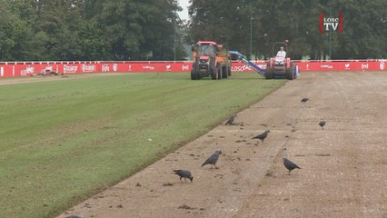 Luchin se met au vert !