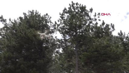 Karabük Alzheimer Hastası Kadın Kayboldu-Hd