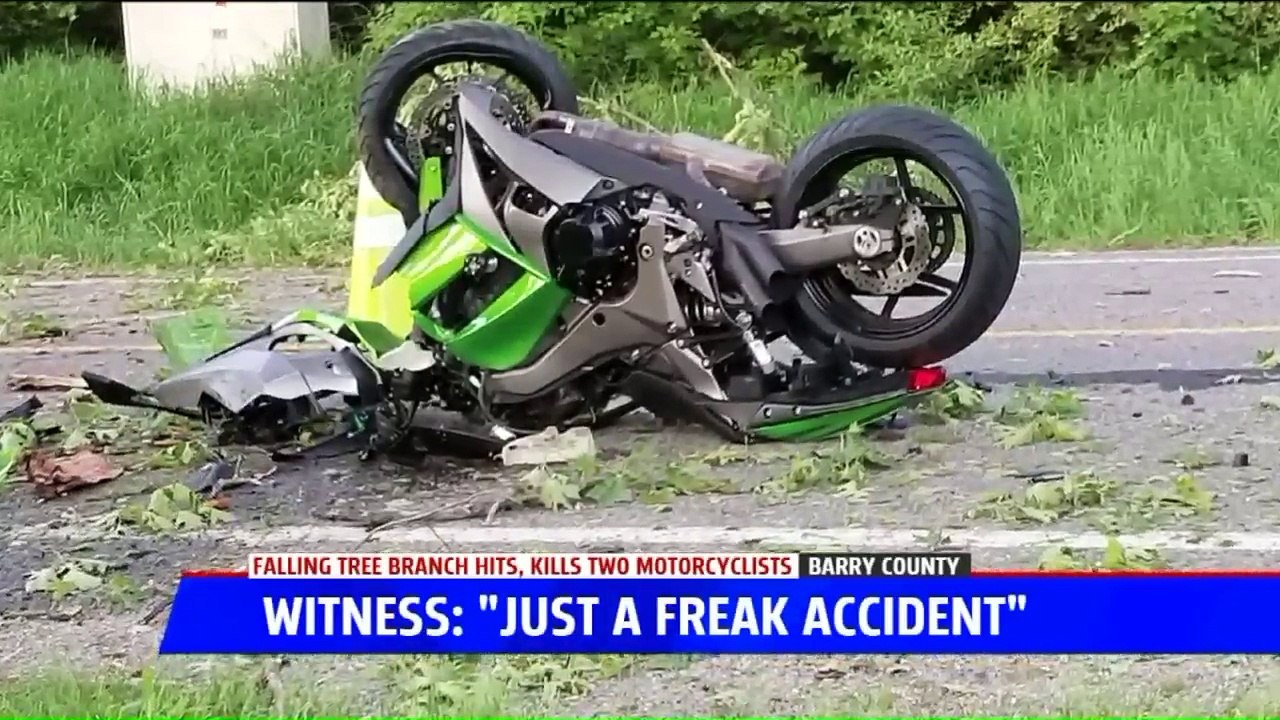 Falling Tree Branch Kills Two Motorcyclists in Michigan