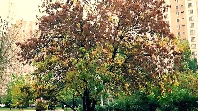 Что хорошего в преподавании?