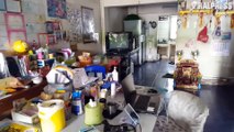 Monitor Lizard Caught After Raiding Kitchen